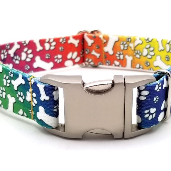 Flying Dog Collars Other - TRIPPY DOGGO DOG COLLAR